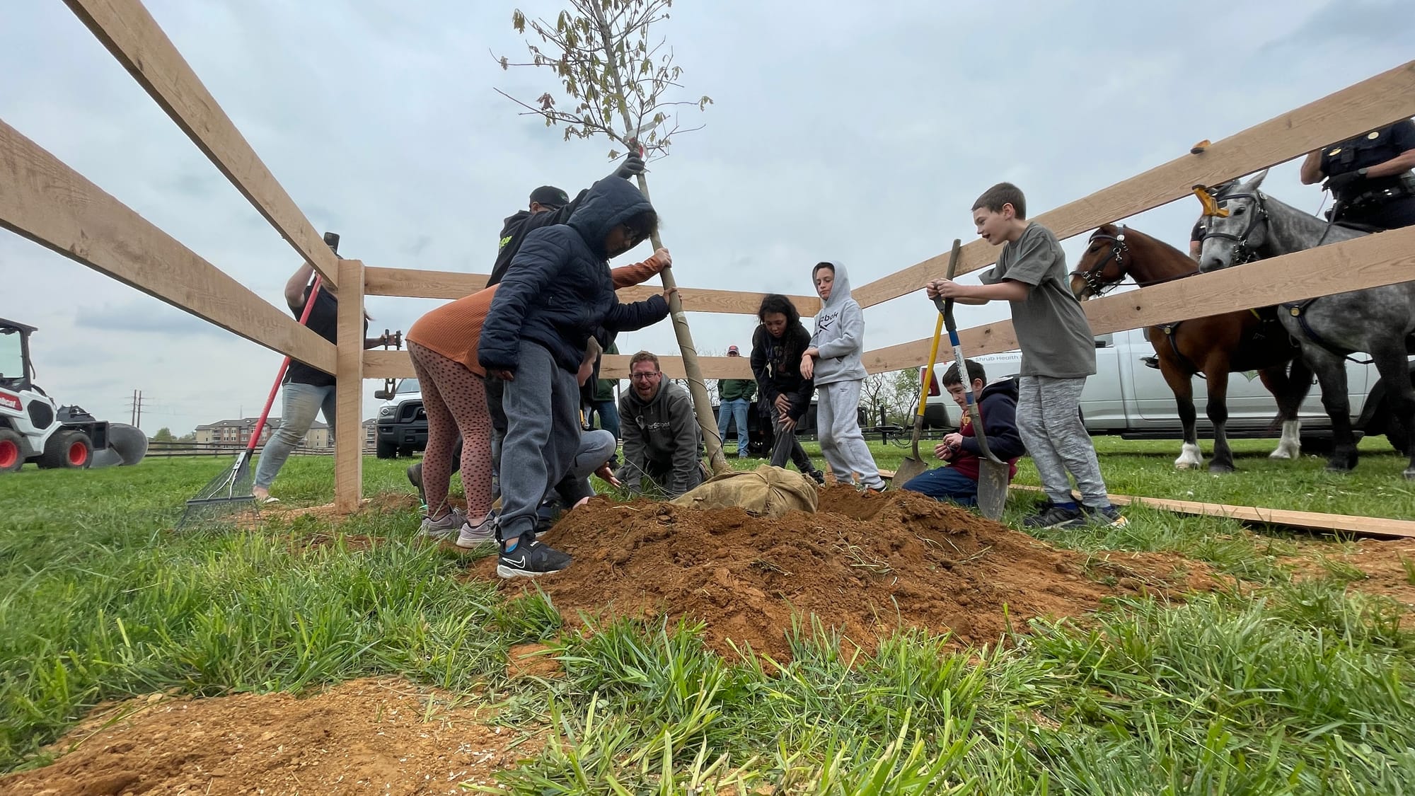 Students work together to heave the tree into place.