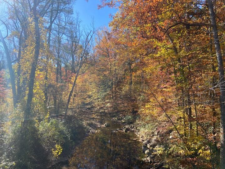Environment and Science Reporter Molly Bilinski, alongside Grace Oddo, social media specialist, trekked across the Lehigh Val