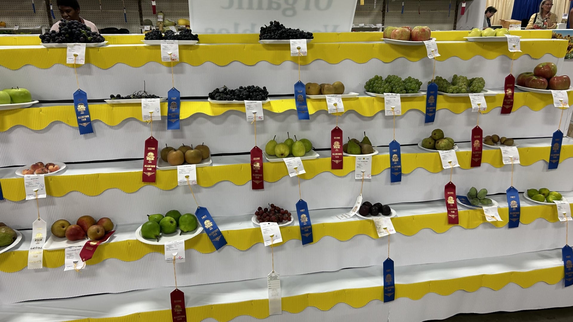 Fruits and veggies being judged at the Allentown Fair.