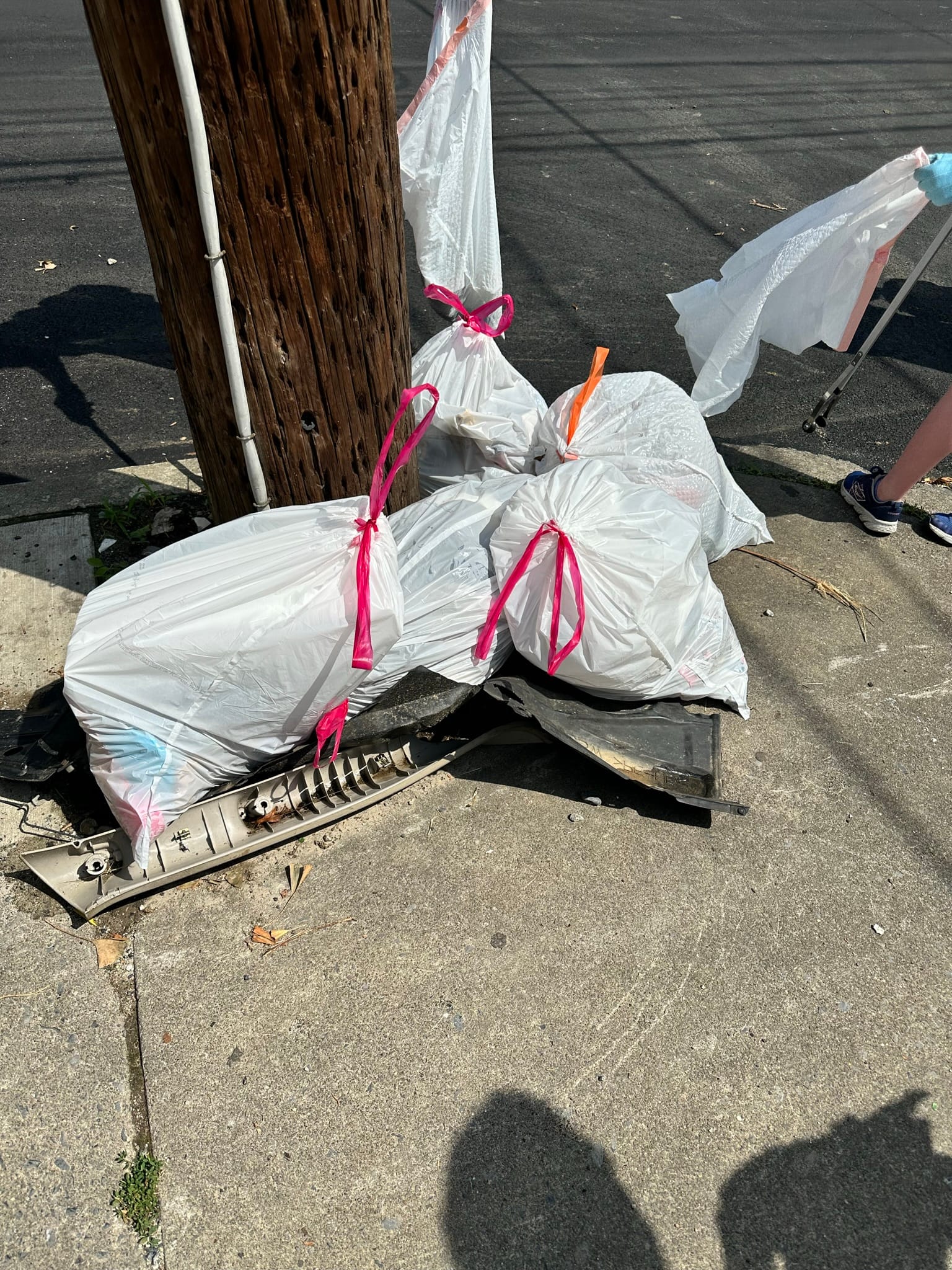 More than 50 bags of trash were collected from Allentown's streets Saturday as part of the Community and The Arts Clean Up.
