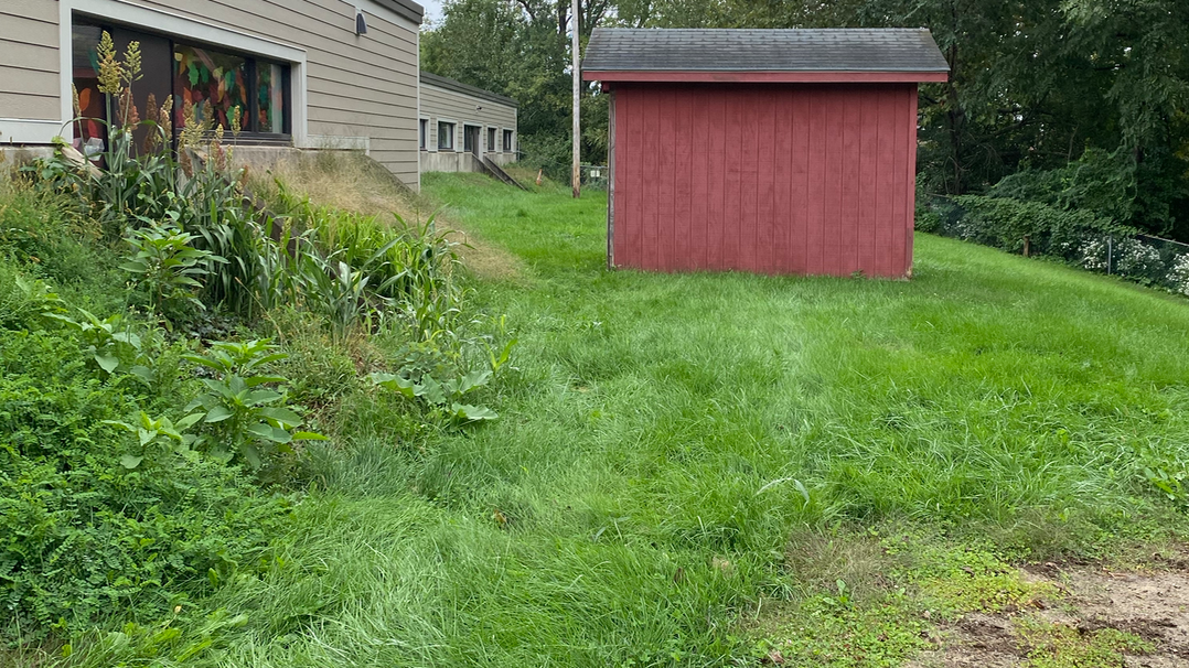 yard.jpg