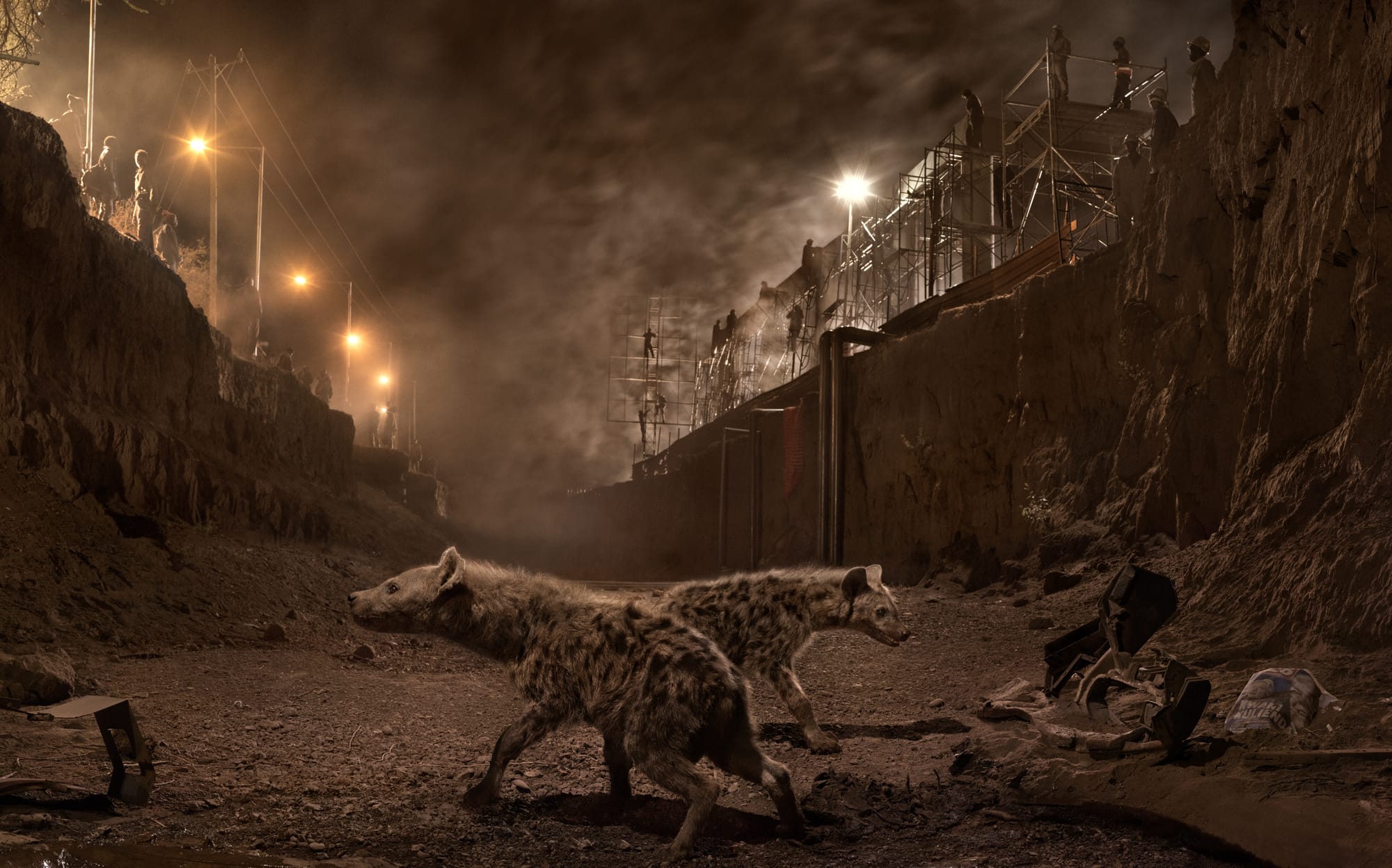 river-bed-hyenas-30inw_0.jpg