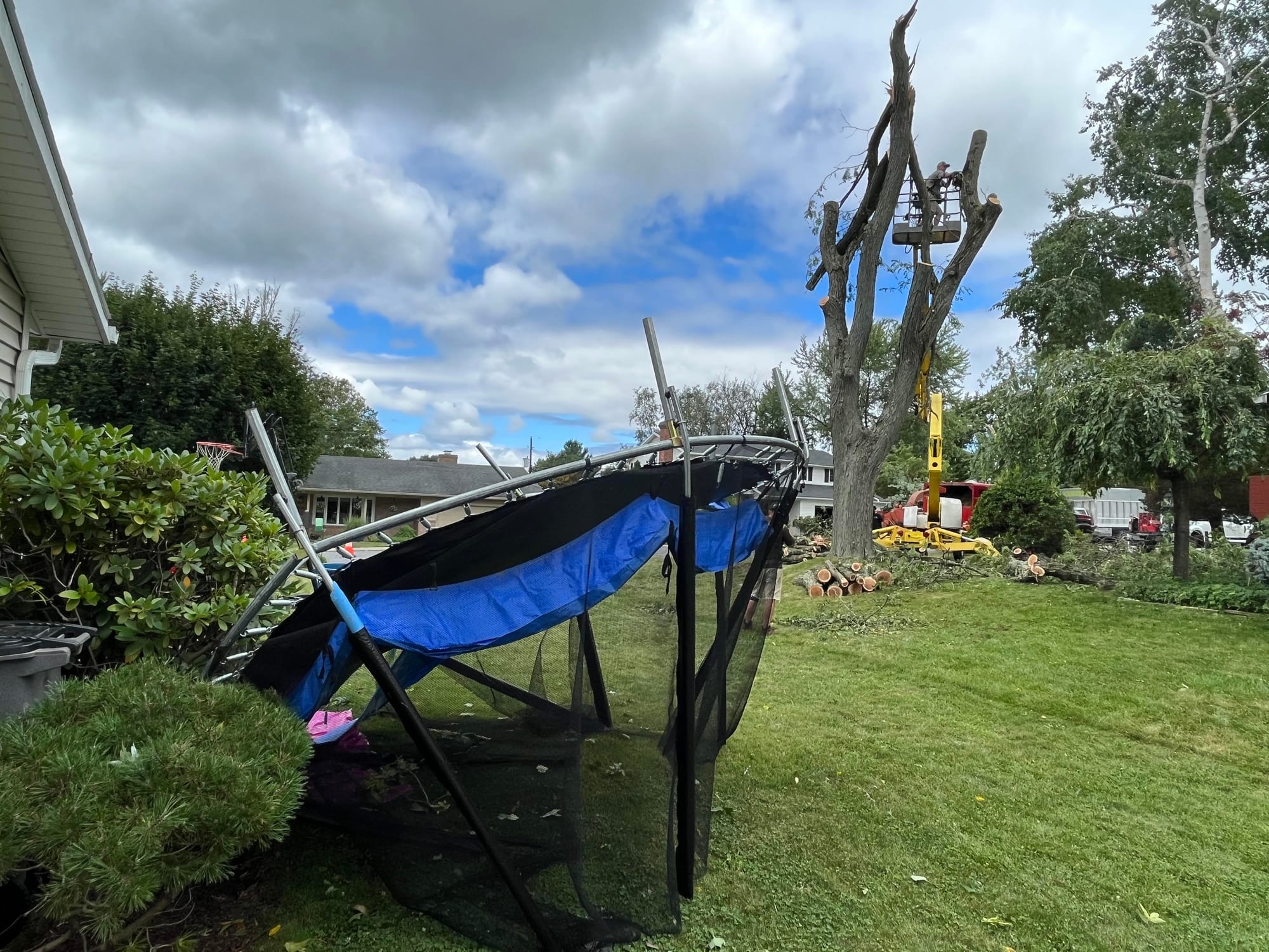 Trampoline.jpg