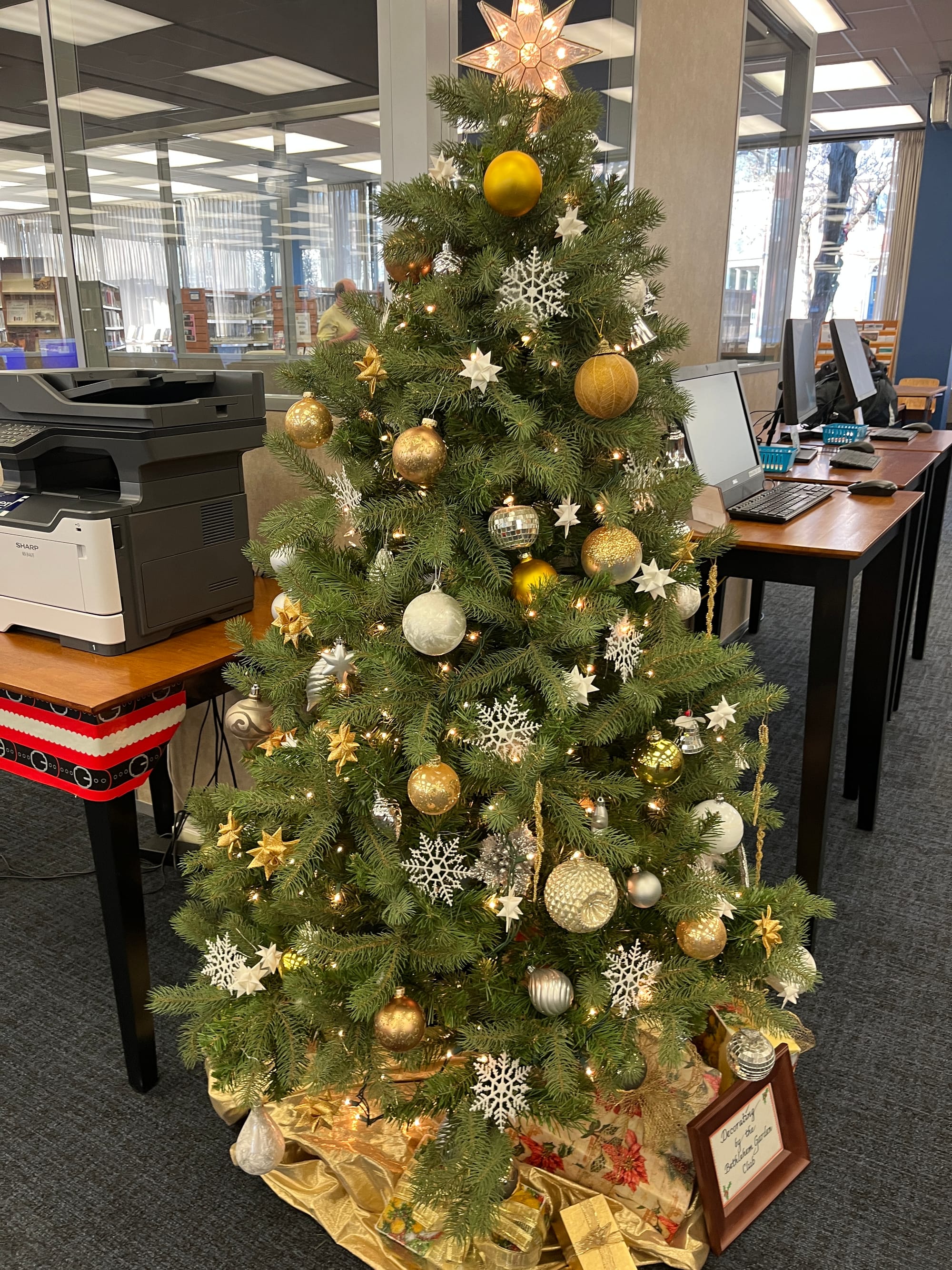 BAPLtree.JPG