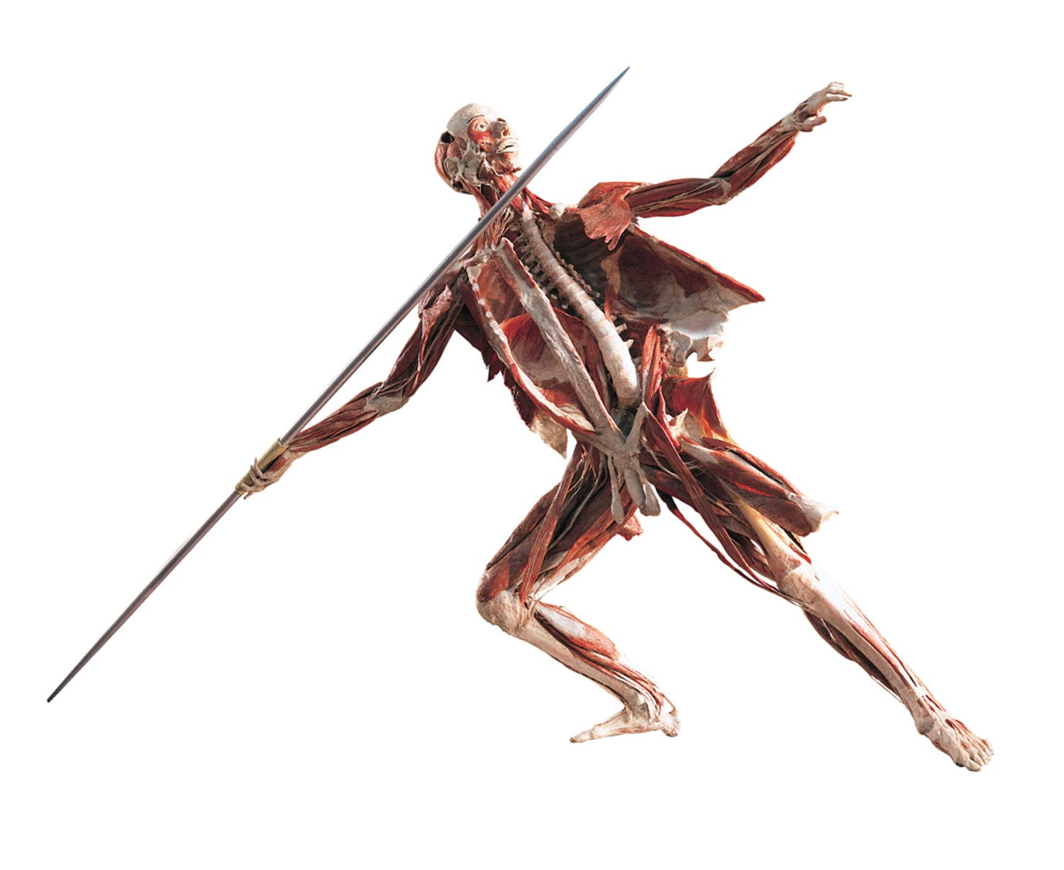WBP_Lance-Thrower.jpg