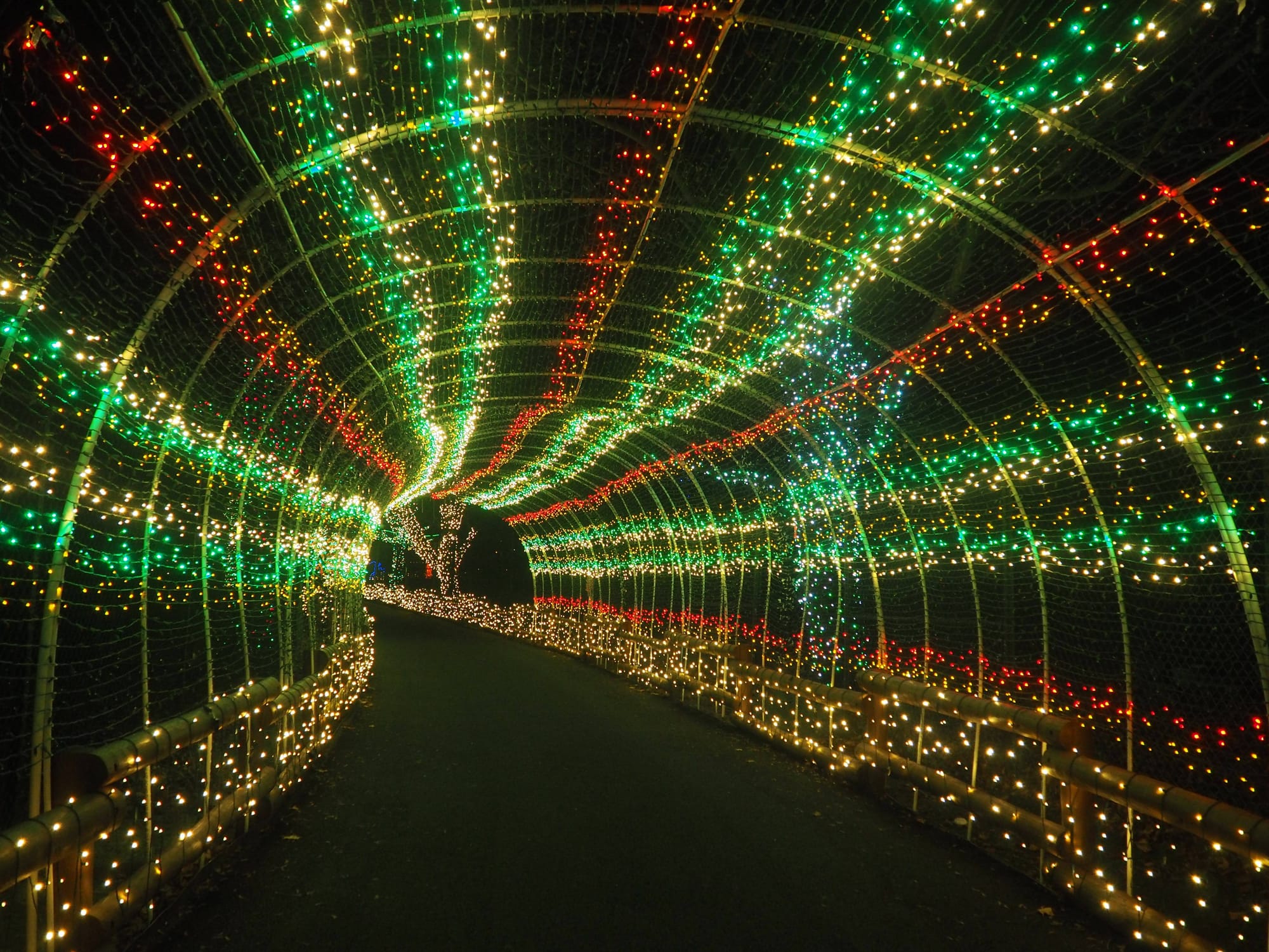 Tunnel03.jpg