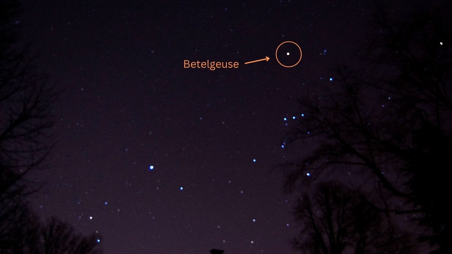 Betelgeuse.JPEG