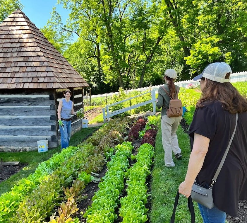 GARDEN.jpg