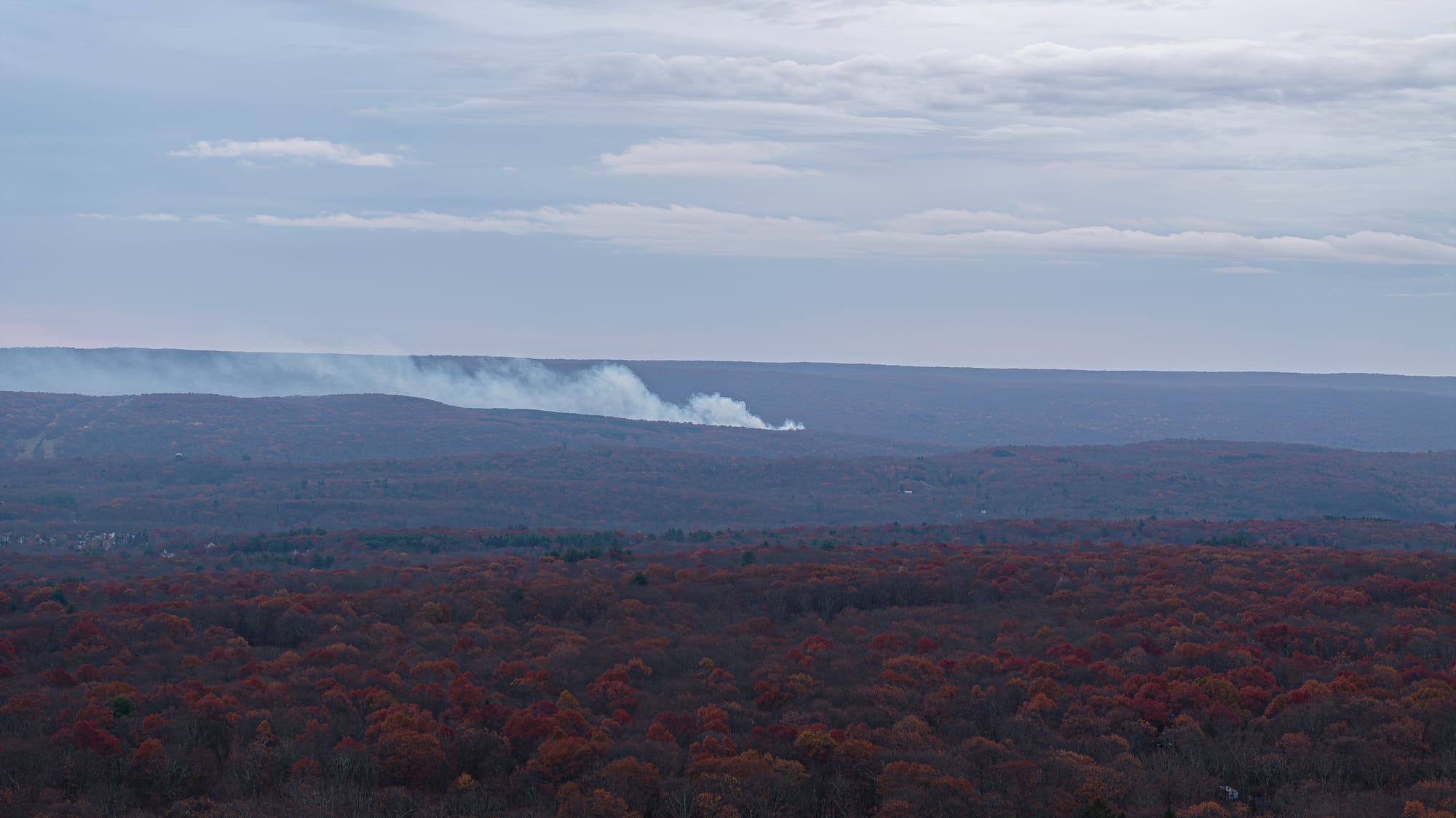 Wildfire