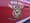 Vera Cruz Upper Milford Fire Rescue Car