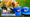 Corgis Merch.png