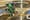 Monster Trucks 4.jpg