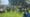 IMG_3951.jpeg