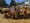 Pumpkins, mums and fall decorations sit on beds of hay at the Centennial Park in West Ward.jpg