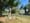 The Walking Purchase: Wrightstown Friends Meeting House