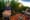IMG_9043.jpeg