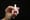 Narcan