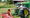 Rodale Institute Annual Organic Field Day.png