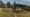 Angel Tree Farms Happy Holidays.jpg