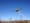 Aerial seeding at Palmerton Zinc Pile Superfund Site