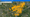 AllentownPropertyTaxTool.png