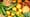 fruit and veg.jpg