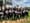 IMG_2474 (2).jpeg
