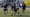Turkey Bowl 2024