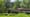 LittleLehighBridge1.jpg