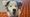 Wilson 2edited.png