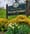 Williams Township sign.jpg