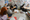 ProJeCt of Easton Photo of Class