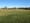 A smallish grassy field, bordered by trees, shrubs and a few houses.