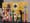 IMG_3647.jpeg