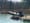 Penguins at the Lehigh Valley Zoo