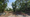 CentralParkAptsSiteAllentown.png
