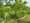 Easton's micro-forest