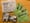 Some harm reduction kits contain drug and alcohol resources as well as naloxone, an opioid overdose-reversing medication. Soon, more statewide groups will be able to distribute res...