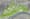 Northridge concept plan.jpg