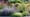 adobestock-369388098.jpeg