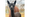 Lehigh Valley Zoo alpaca