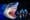 "Sharks" exhibit at Da Vinci Center