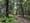 Wildlands Conservancy Mud Run Conservation Easement