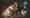 AdobeStock_432281234_Editorial_Use_Only-min-min.jpeg