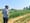 Monocacy Farm Project