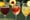 sangria.jpg