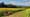 Fox Summit Farm
