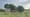 Miller Farmhouse Farmersville Road