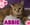 Abbie.jpg