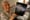 Gackenbach holding photo.jpg